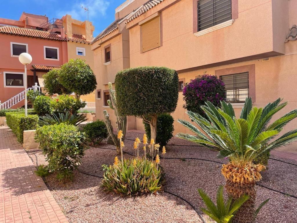 Apartament La Mata Торевиеха Екстериор снимка